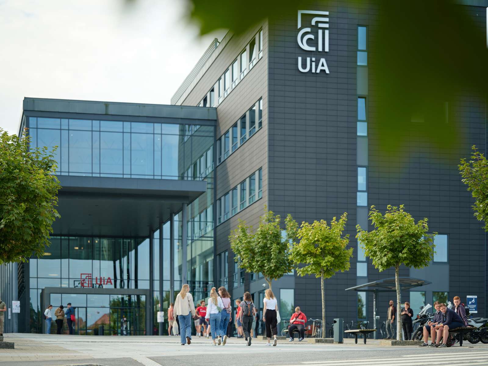 Universitetet i Agder campus